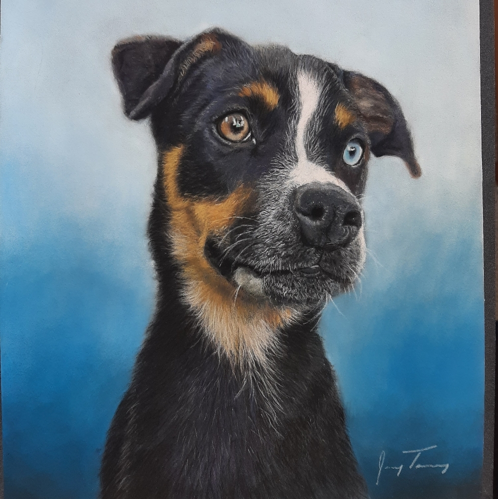 Example Custom Pet Portrait,  Not for sale